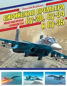 Сирийская премьера. Многоцелевые самолеты Су-30, Су-34 и Су-35