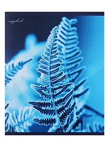 Тетрадь в клетку Unnika, "Застывшая красота", 48 листов, в ассортименте