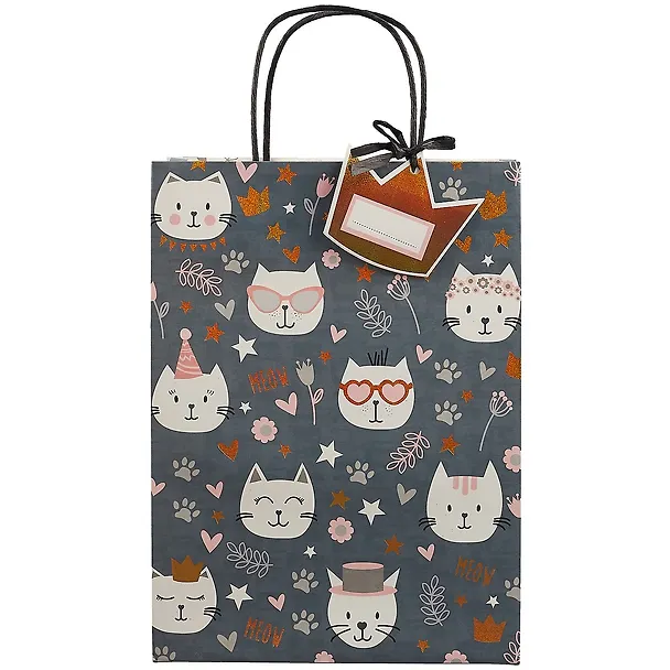 Пакет А4 30*22*11 Funny Cats дет., бум.мат.ламинат 256784 — 2