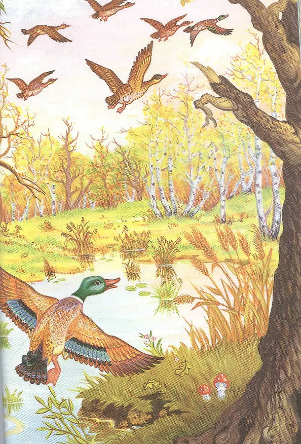 Книга Лучшие сказки () — 4