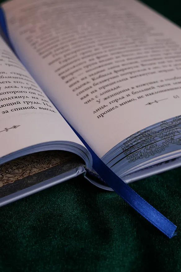 Книга Последнее желание (Анджей Сапковский) — 16