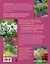Цветники. 95 простых композиций для любого уголка сада (новое оформление) — 2964179 — 2