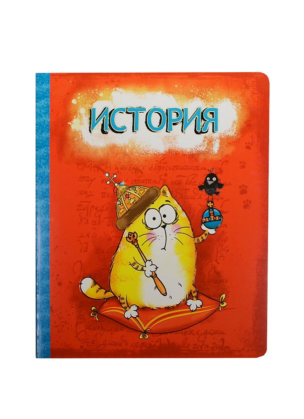 Тетрадь 48 листов Котэ История (190385) (Сима-ленд) 2426770 — 1