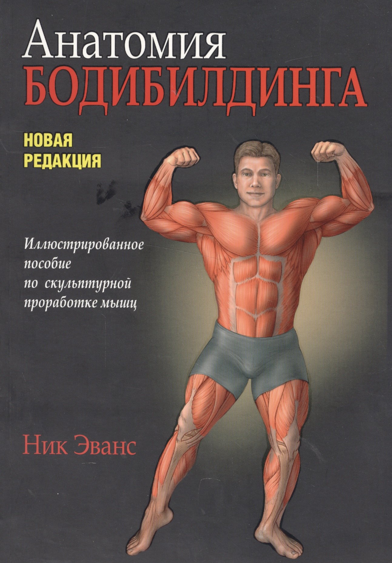 

Анатомия бодибилдинга