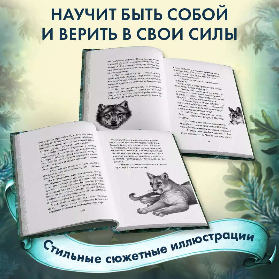 Караг и волчье испытание (#7) (Катя Брандис) - купить книгу с доставкой в  интернет-магазине «Читай-город». ISBN: 978-5-04-123061-6