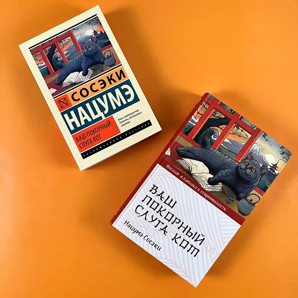 Книга Ваш покорный слуга кот (Сосэки Нацумэ) — 10