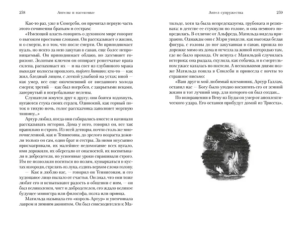 Книга Ангелы и насекомые (Антония Сьюзен Байетт) — 20