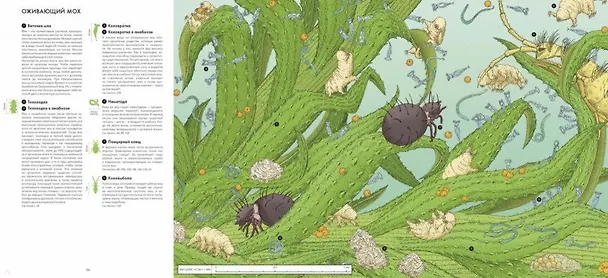 Книга Живой мир под микроскопом (Элен Ражкак, Дамьен Лавердан) — 7
