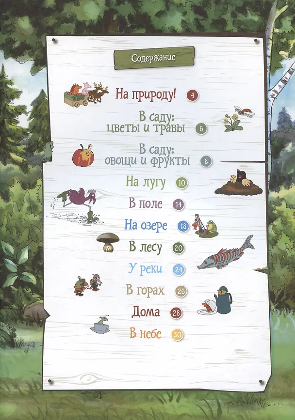 Книга Петсон и Финдус на природе (Штеффани Корда, Свен Нурдквист) — 3