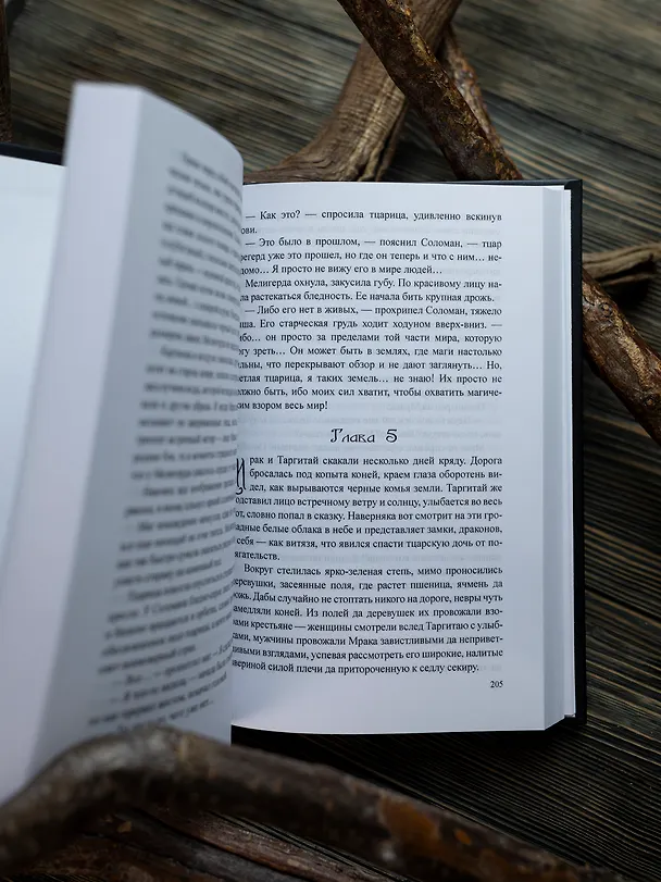 Книга Трое и Атлантида (Юрий Никитин) — 9