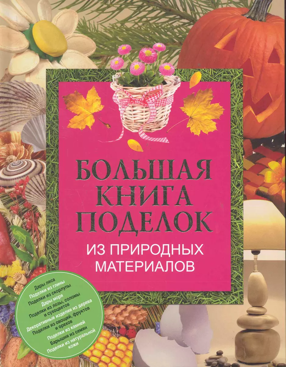 Бол.книга поделок из природ.материалов (Светлана Чебаева) - купить книгу с  доставкой в интернет-магазине «Читай-город». ISBN: 978-5-17-070246-6