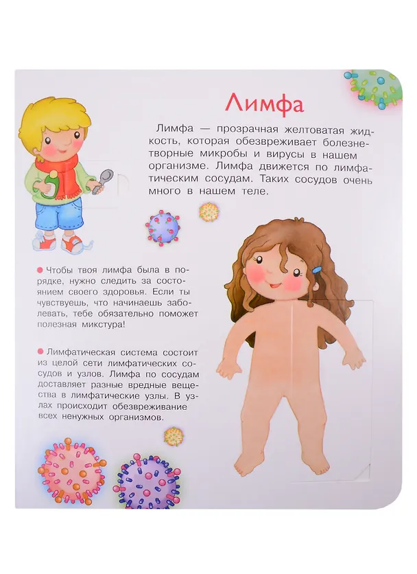 Книга Что? Почему? Зачем? Наше тело. 36 волшебных окошек (Элеонора Барсотти) — 5