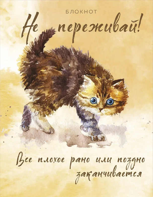 Блокнот. Не переживай! Все плохое рано или поздно заканчивается 2961360 — 1