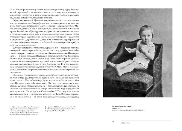 Книга Психея. Фотолетопись жизни Марины Цветаевой (Наталья Шаинян) — 8