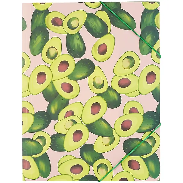 Папка на резинке «Avocado» А4 253231 — 1