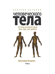 Краткая история человеческого тела. 24 часа из жизни тела: секс, еда, сон, работа