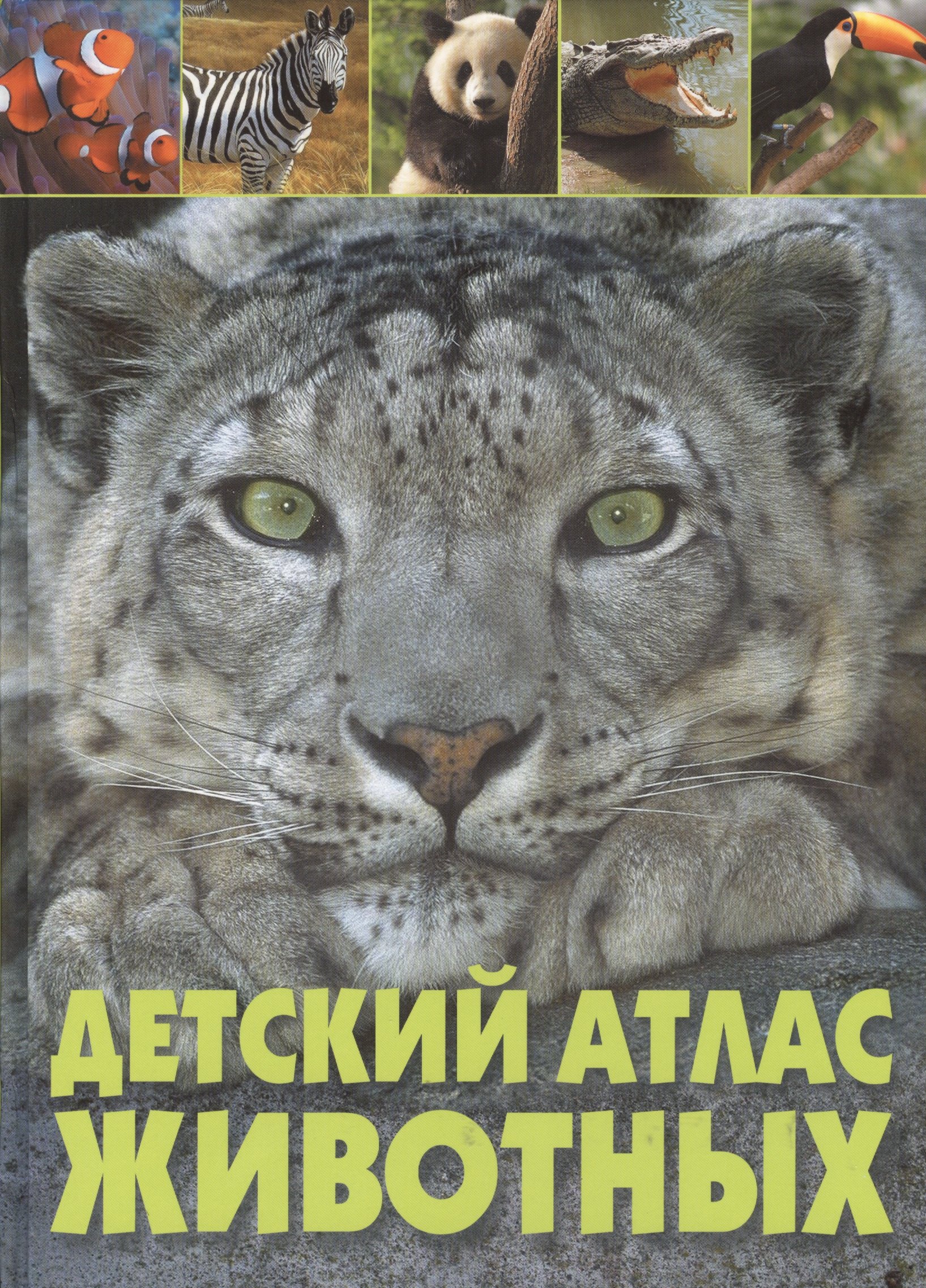 

Детский атлас животных