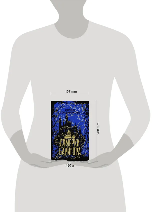 Книга Сумерки Баригора (Софья Соломонова) — 17