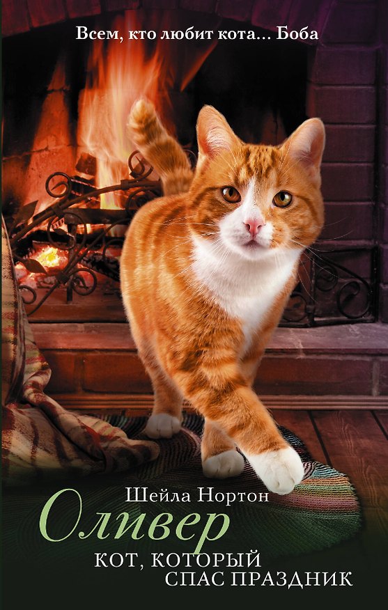 Книга ПодарокОтБоба Оливер. Кот, который спас праздник (Шейла Нортон) — 1