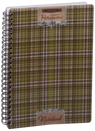 Тетрадь в клетку Феникс+, "Ноутбук", 100 листов, в ассортименте 243893