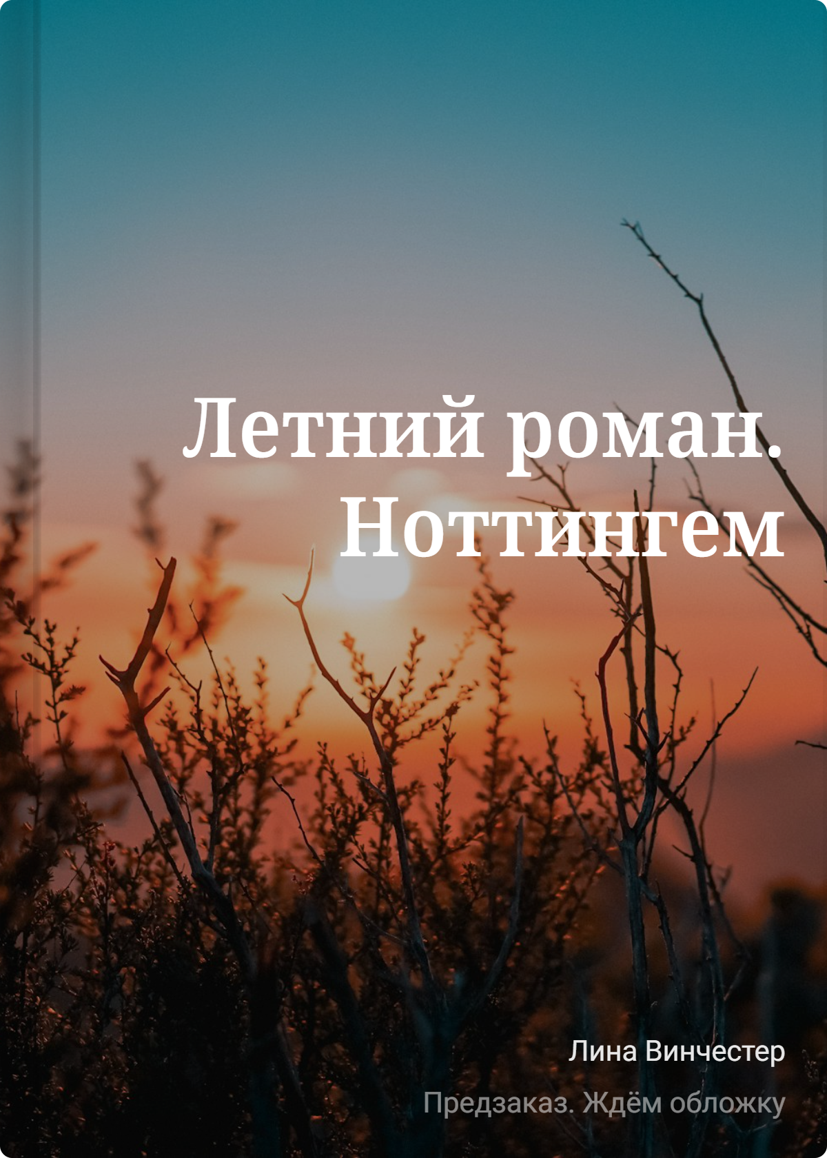 Винчестер Лина: Летний роман. Ноттингем