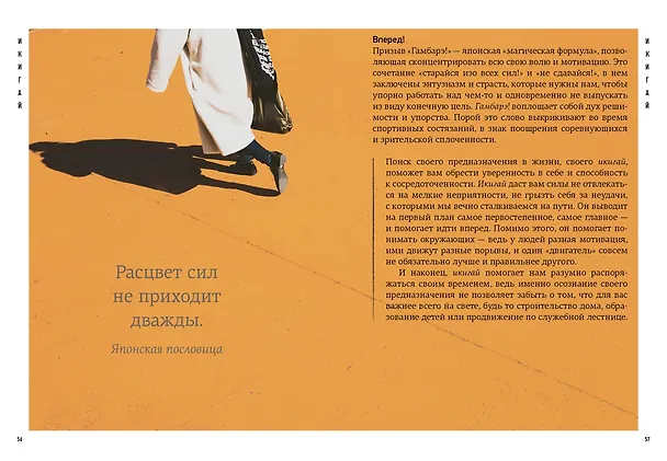 Книга Японизм. Маленькая книга японской жизненной мудрости (Эрин Ниими Лонгхёрст) — 13