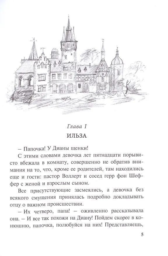 Книга Упрямица (Эмми фон Роден) — 4