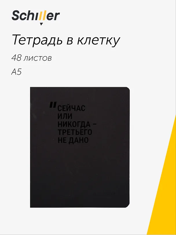 Тетрадь общая «Сейчас или никогда-третьего не дано», 48 листов в клетку, А5 - Schiller 3106850 — 1