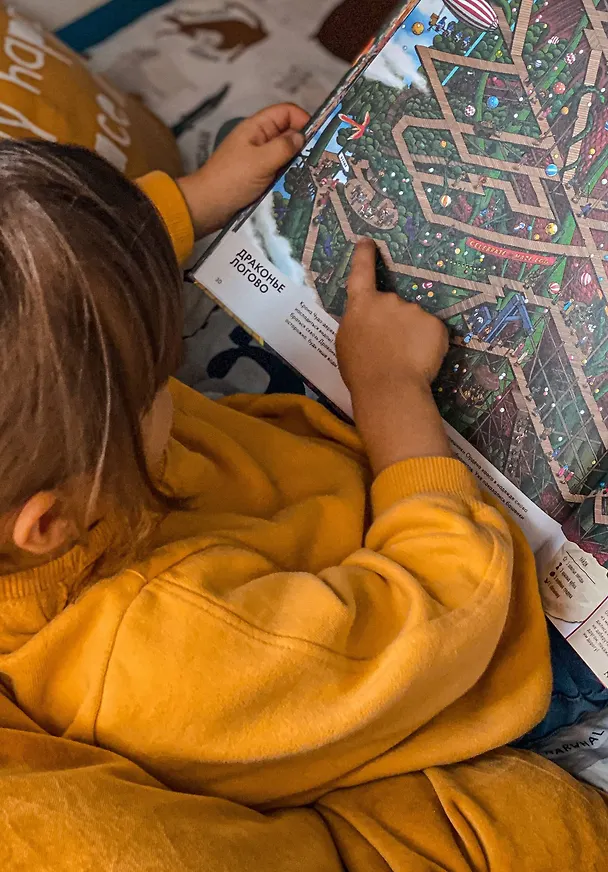 Книга Детектив Пьер распутывает дело. Сокровище Воздушного замка (Хиро Камигаки) — 11