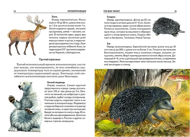 Книга Млекопитающие. Узнай мир (Юлия Дунаева) — 4