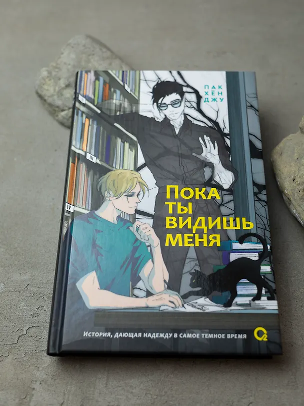 Книга Пока ты видишь меня (Пак Хён Джу) — 5