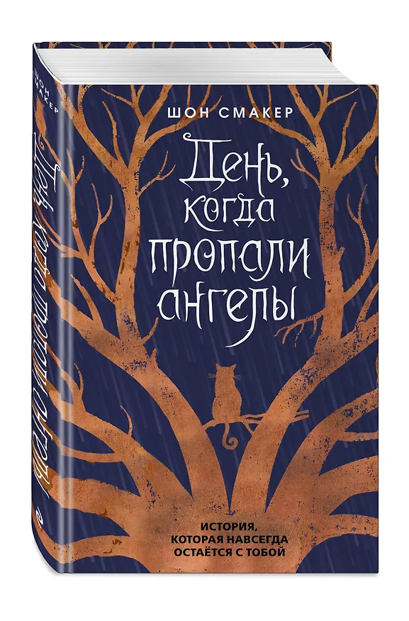 Книга День, когда пропали ангелы (#1) (Шон Смакер) — 5
