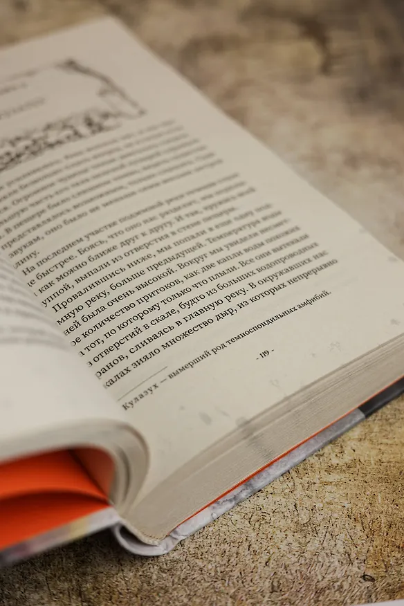 Книга Свеча в гробнице: древний город Цзинцзюэ (Бачан Тянься) — 10