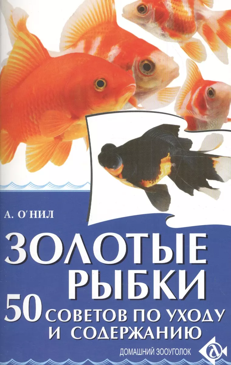 Золотые рыбки. 50 советов по уходу и содержанию (Аманда О`Нил) - купить  книгу с доставкой в интернет-магазине «Читай-город». ISBN: 978-5-4238-0108-3