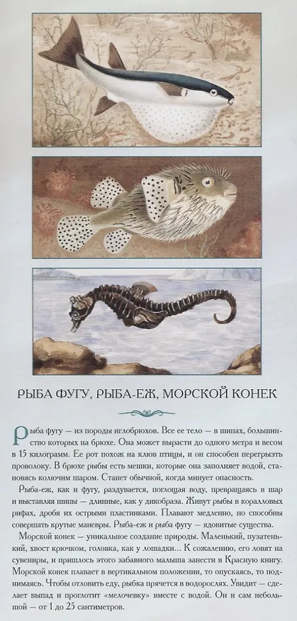 Книга Животные нашей планеты «Обитатели водоемов. Рассказы тех, кто молчит» () — 5