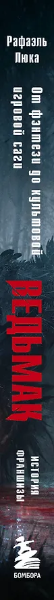 Книга Ведьмак. История франшизы. От фэнтези до культовой игровой саги (Рафаэль Люка) — 4