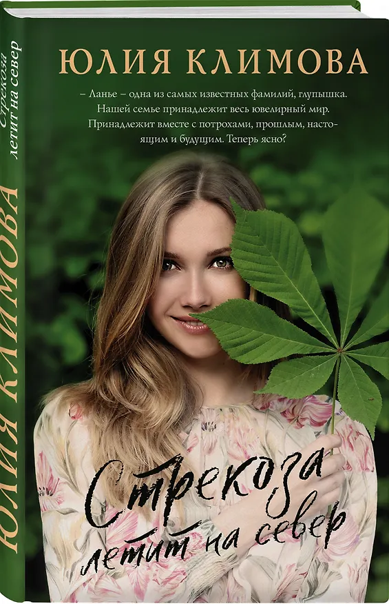 Книга Стрекоза летит на север (Юлия Климова) — 4
