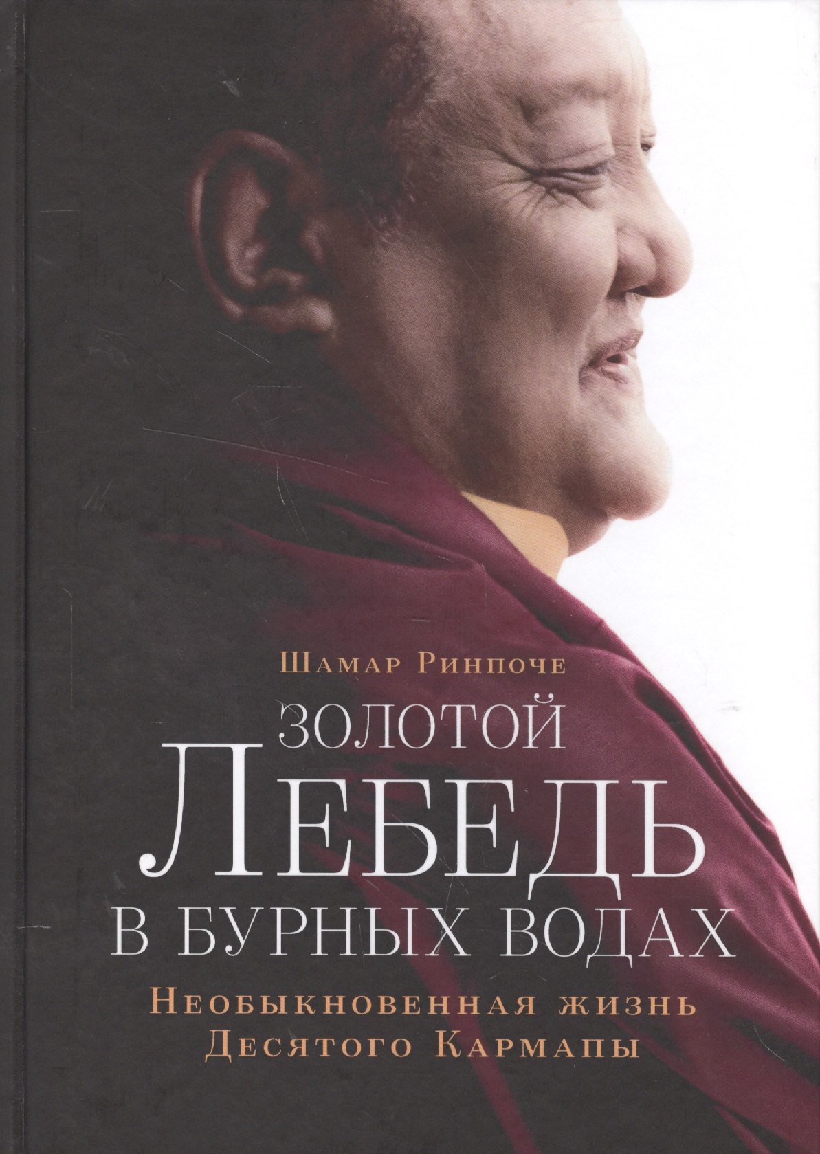 

Золотой лебедь в бурных водах. Необыкновенная жизнь десятого Кармапы