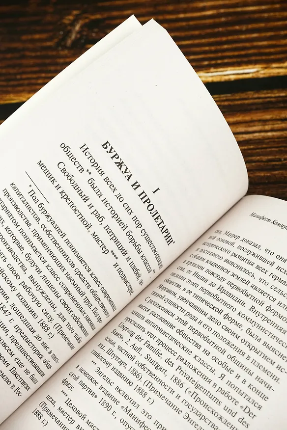 Книга Принципы коммунизма. Манифест коммунистической партии (Карл Маркс) — 8