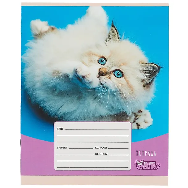 Тетрадь в клетку Listoff «Игривые котята» в ассортименте, 12 листов 259409 — 5