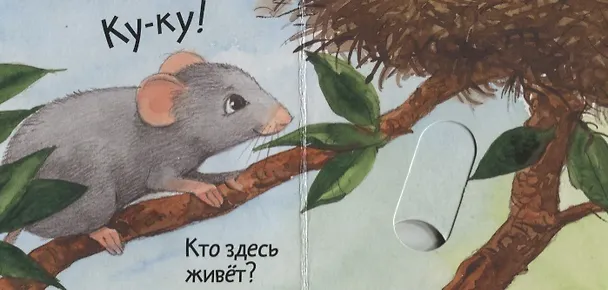 Книга Кто где живет? (Анна Таубе) — 2