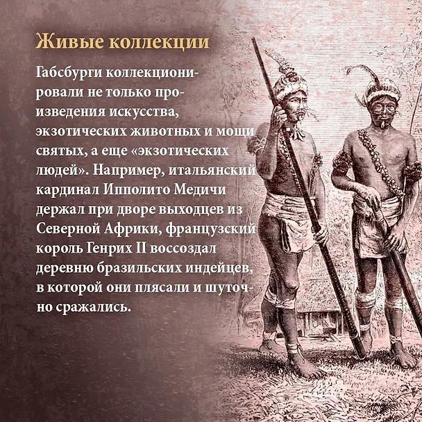 Книга Бурный XVI век: Габсбурги, ведьмы, еретики, кровавые мятежи (Фрэнсис Вейнс) — 10
