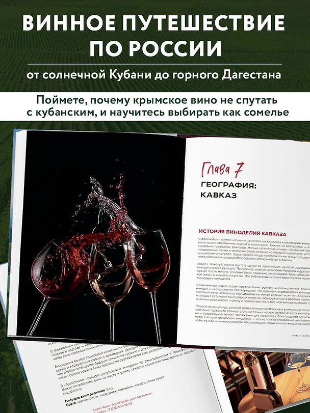 Книга Вино России. История, география, выбор. Новое издание (Елена Горбачева) — 7