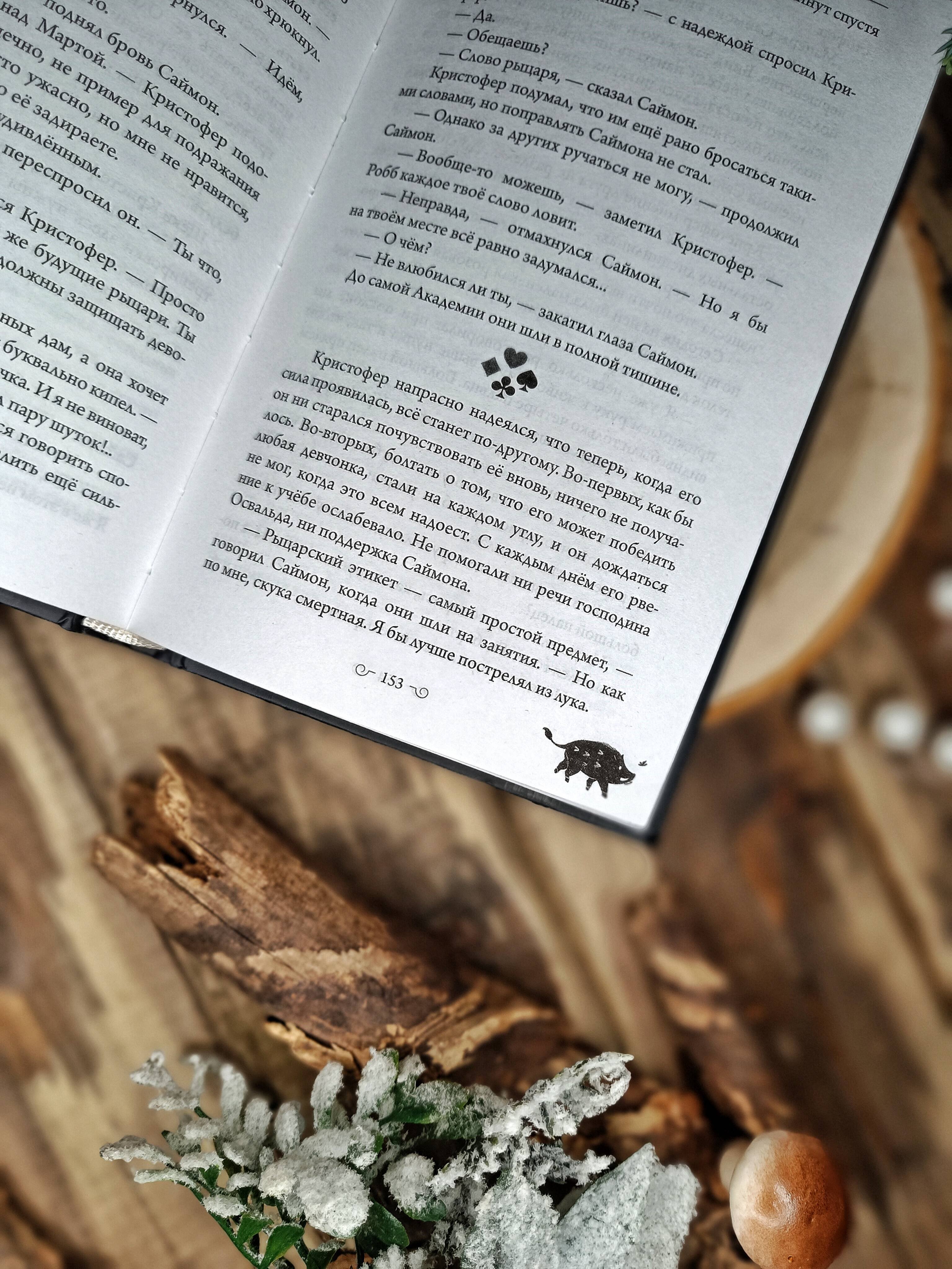 Изображение бумажной книги