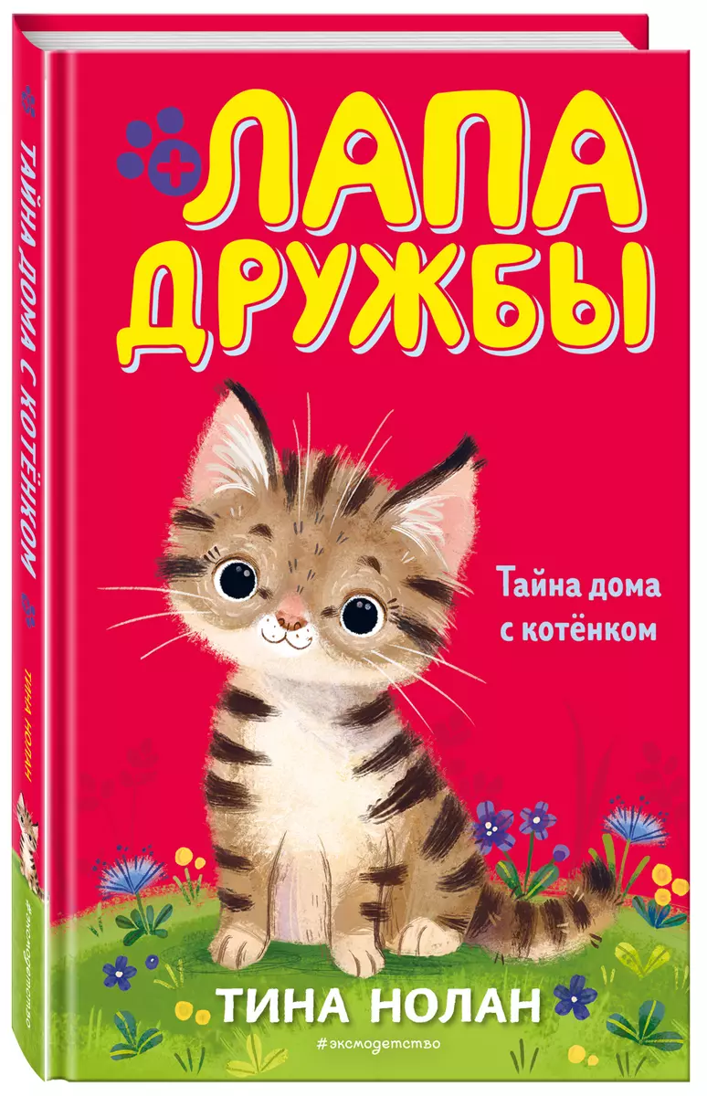 Тайна дома с котёнком