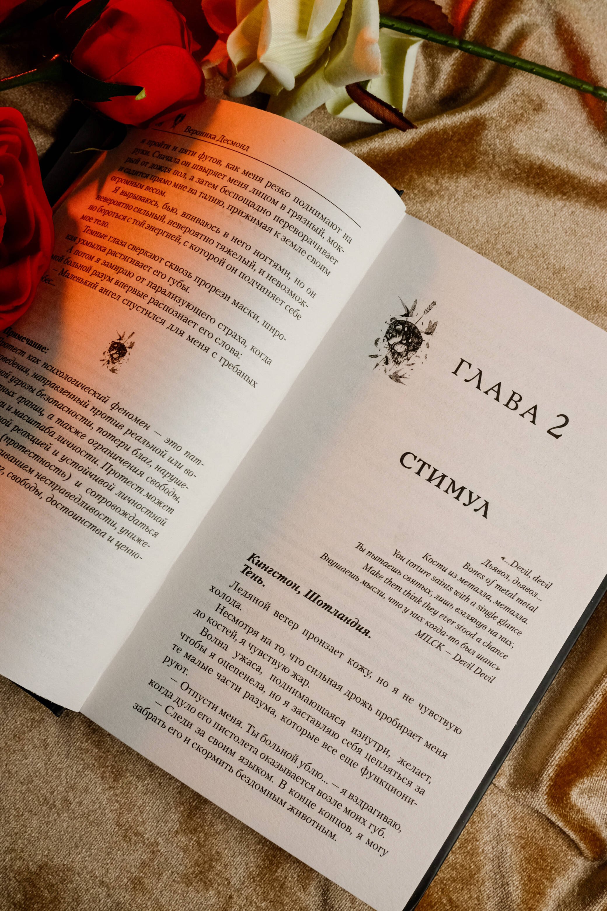 Изображение бумажной книги