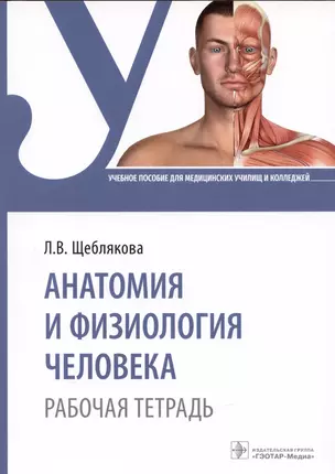 Анатомия и физиология человека. Рабочая тетрадь — 2937980 — 1