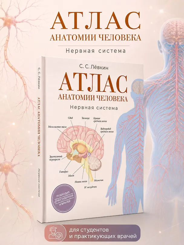 Книга Атлас анатомии человека. Нервная система (Сергей Лёвкин) — 6