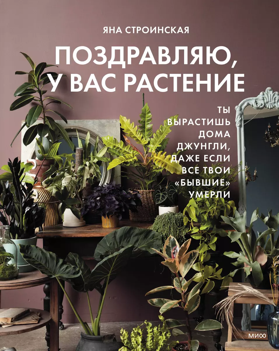 Поздравляю, у вас растение. Ты вырастишь дома джунгли, даже если все твои бывшие умерли