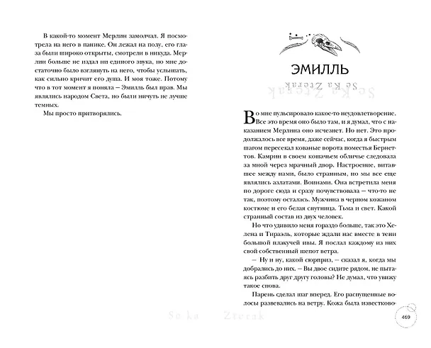 Книга Ведьмы Тихого Ручья. Отравленное сердце (#2) (Айла Дейд) — 10